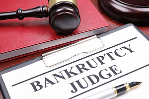 bankruptcy judge