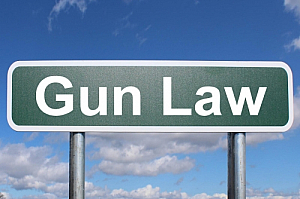 gun law