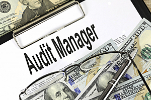 audit manager