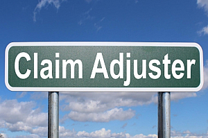 claim adjuster