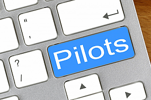 pilots