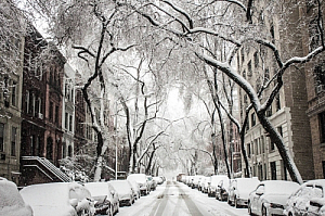 new york residential street townhouses snow