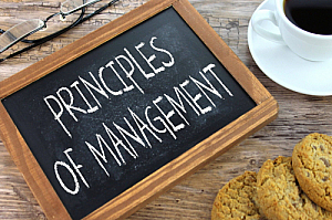 principles of management