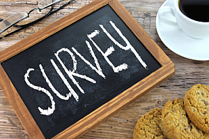 survey
