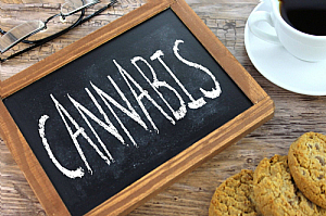 cannabis