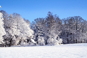 winter house snow trees ice blue sky