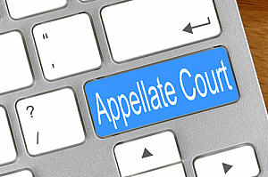 appellate court