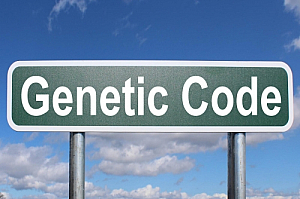 genetic code