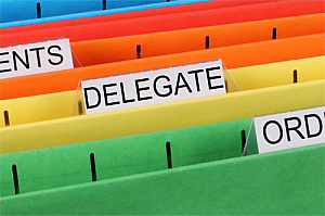 delegate