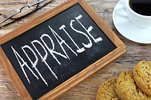appraise