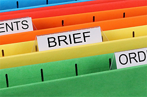 brief