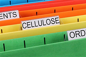 cellulose