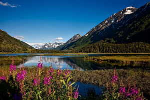 Chugach national forest in Alaska