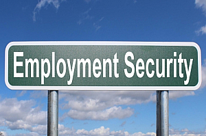 employment security