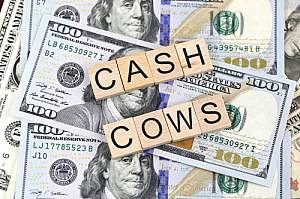 cash cows