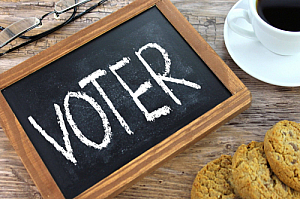 voter