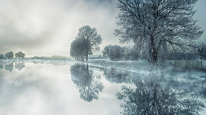 winter trees landscape water reflection