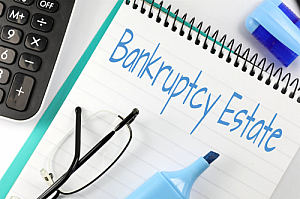 bankruptcy estate