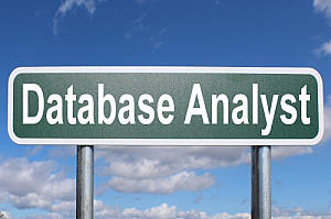 database analyst
