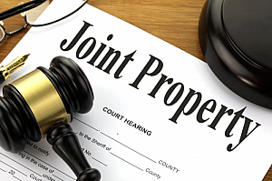 joint property