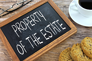 property of estate