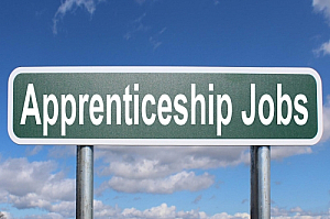apprenticeship jobs