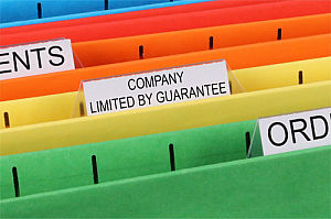 company limited by guarantee