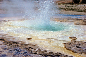 yellowstone national park geyser steam