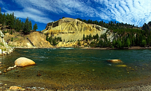 yellowstone national park river landscape trees