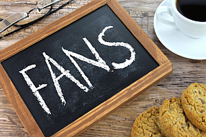 fans