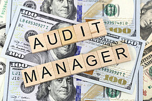 audit manager