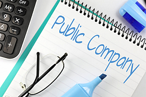 public company